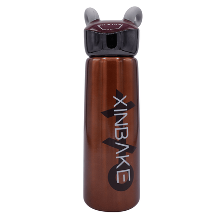 Stainless Steel Bottle