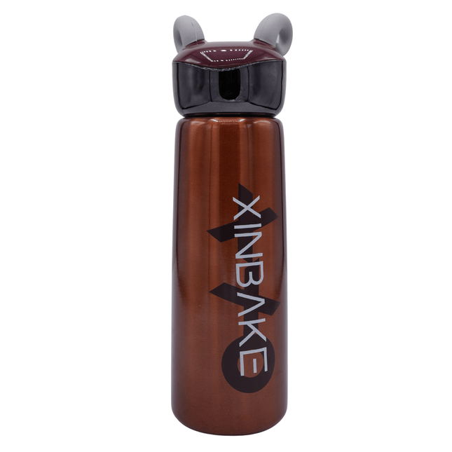 Stainless Steel Bottle