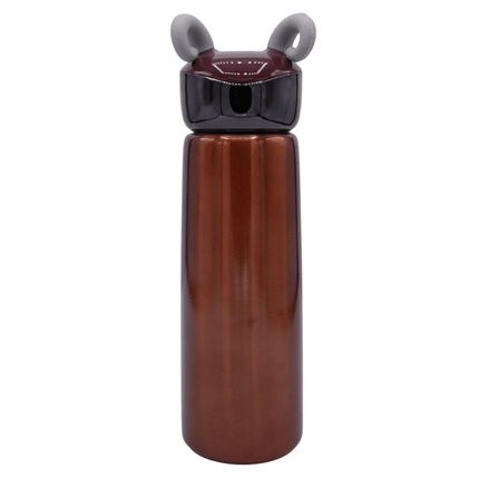 Stainless Steel Bottle