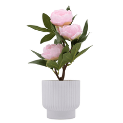 Collection image for: Home Decor