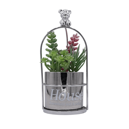 Bonsai Flora