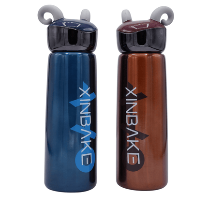 Stainless Steel Bottle