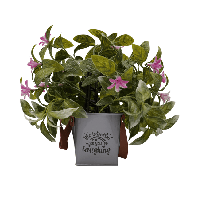 Bonsai Flora