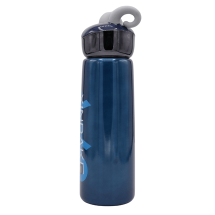 Stainless Steel Bottle