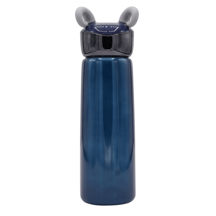 Stainless Steel Bottle