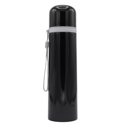 Stainless Steel Bottle