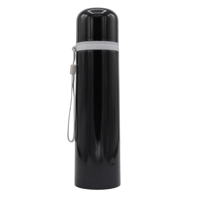 Stainless Steel Bottle