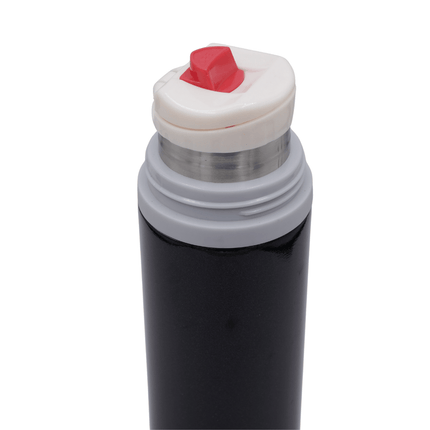 Stainless Steel Bottle